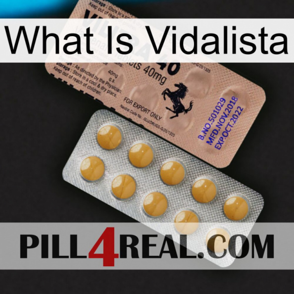 What Is Vidalista 41.jpg